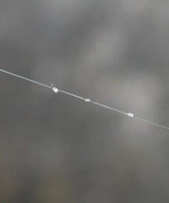 Best reviews of π Drennan Crystal Dibber Pole Rig Terminal Tackle βοΈ 26 Best reviews of π Drennan Crystal Dibber Pole Rig Terminal Tackle βοΈ -Cheap Drennan Store Drennan Crystal Dibber Pole Rig 14