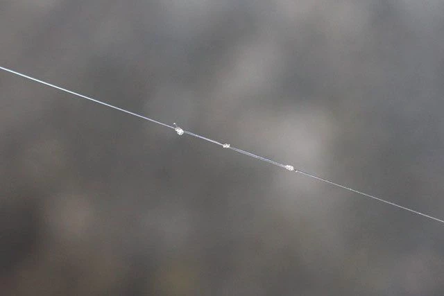 Best reviews of π Drennan Crystal Dibber Pole Rig Terminal Tackle βοΈ 8 Best reviews of π Drennan Crystal Dibber Pole Rig Terminal Tackle βοΈ - Image 8