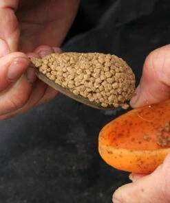 New ❤️ Drennan In Line Flat Method Feeder With Mould Terminal Tackle 🌟 -Cheap Drennan Store method feeder stepd 1